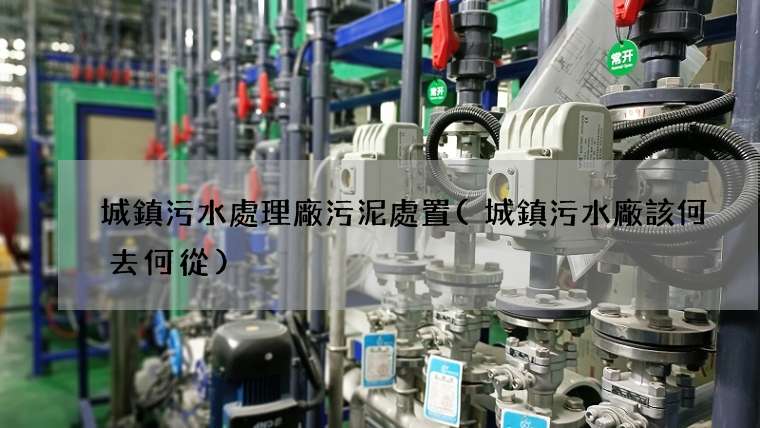 城鎮污水處理廠污泥處置(城鎮污水廠該何去何從)